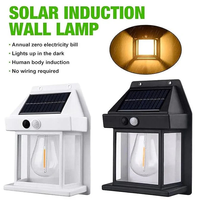 Garden Solar Bulb