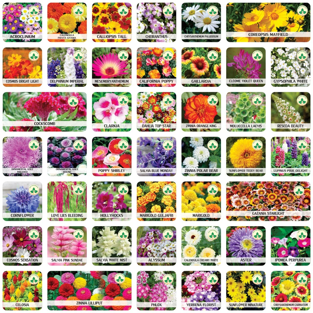 Lotus Seed and Flower Seed Combo (46 Varieties of Packet)