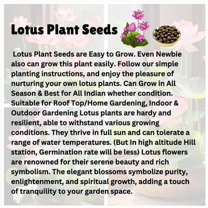 Lotus Seed and Flower Seed Combo (46 Varieties of Packet)