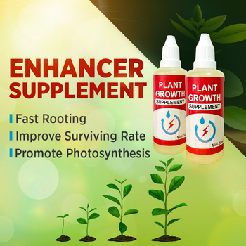 Plant Growth Supplement + Vegetables Seeds Combo