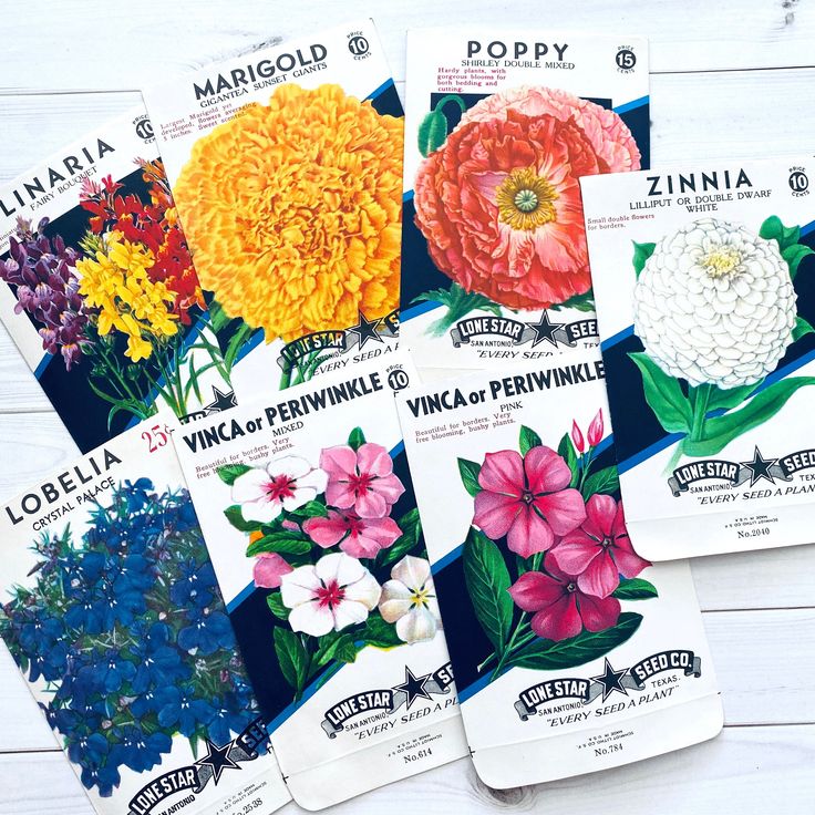 Vegetable & Flower Seeds Pack for All season (90 varieties of Seeds)
