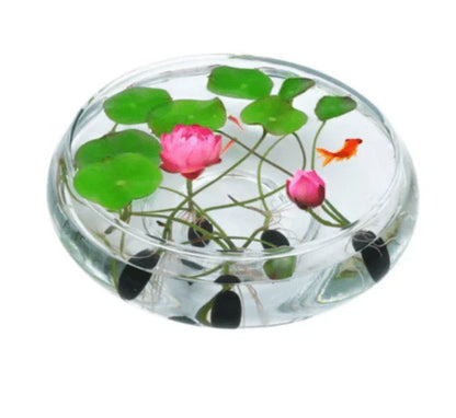 The Premium Lotus Flower Seeds - 50 Pcs