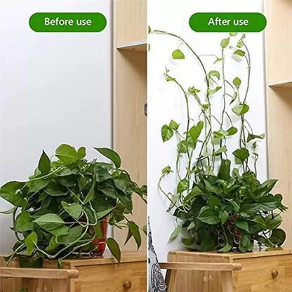 Plant Secure Clips