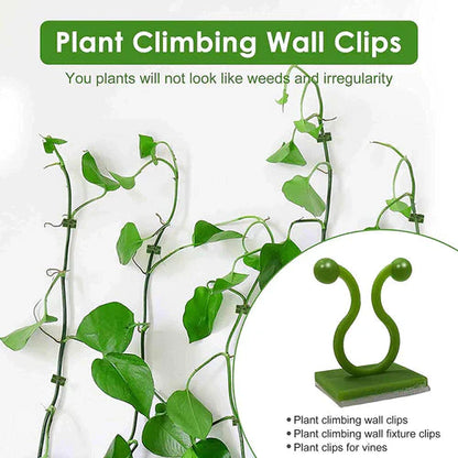 Plant Secure Clips