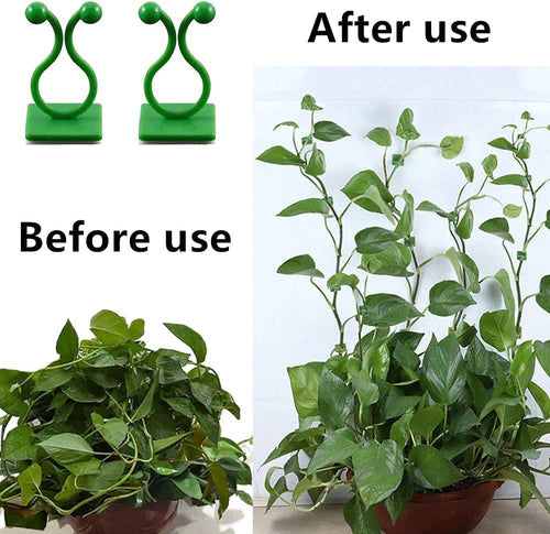 Plant Secure Clips