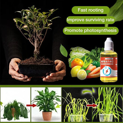 Green Growth Combo Pack