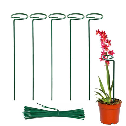 Plant Support Stakes (pack of 12)