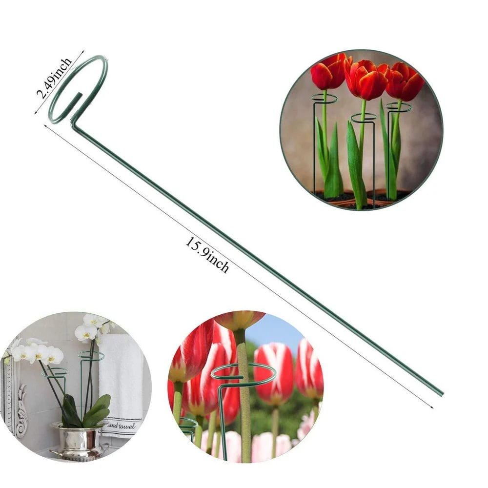 Plant Support Stakes  (pack of 12)