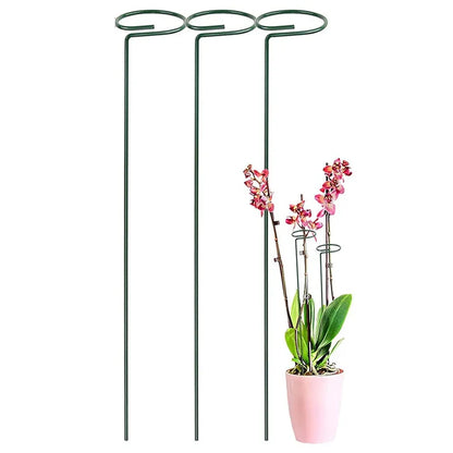 Plant Support Stakes (pack of 12)